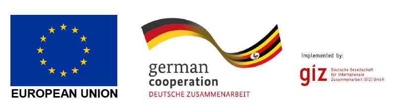 giz-logo